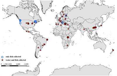 A Global Analysis of the Relationship between Concentrations of Microcystins in Water and Fish